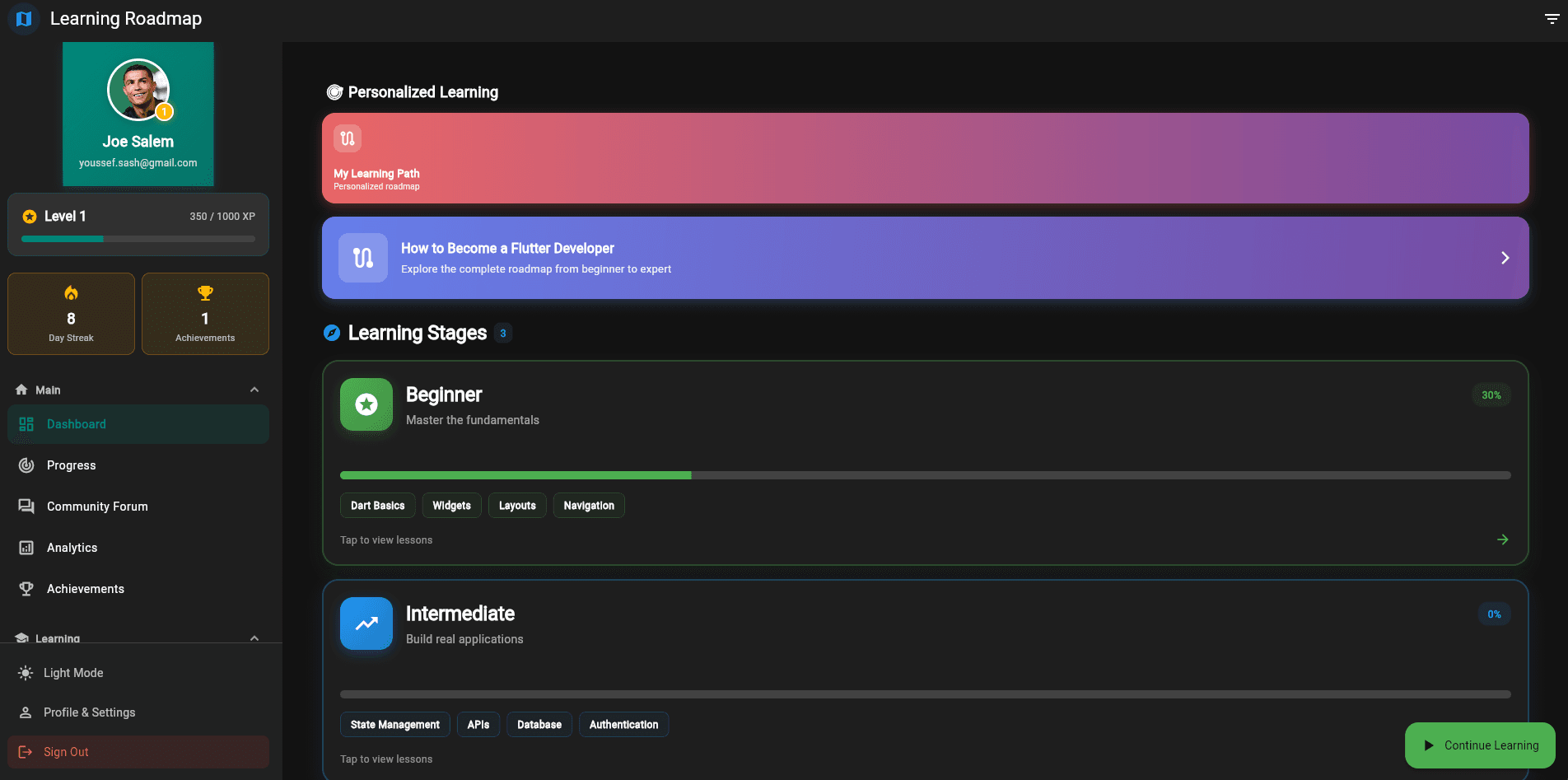 FlutterMate - Flutter Learning Companion — desktop_screen_view.png