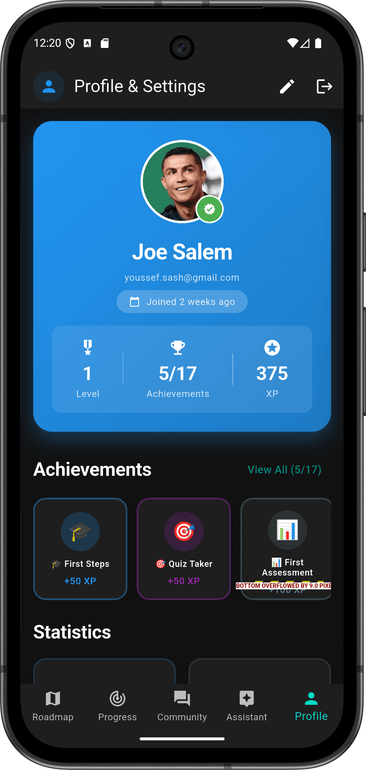 FlutterMate - Flutter Learning Companion — profile_screen.png