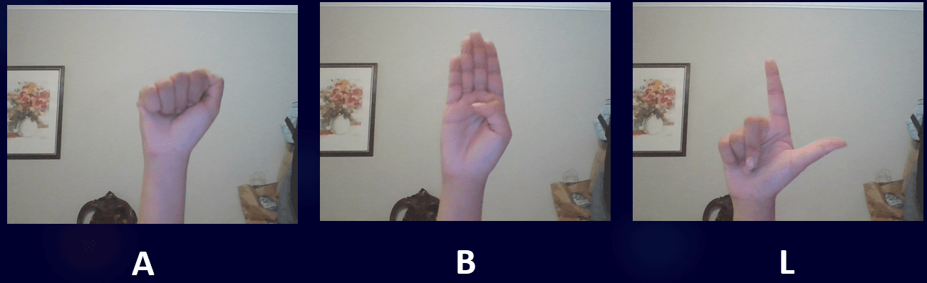 Sign Language Translator — collected_samples.png